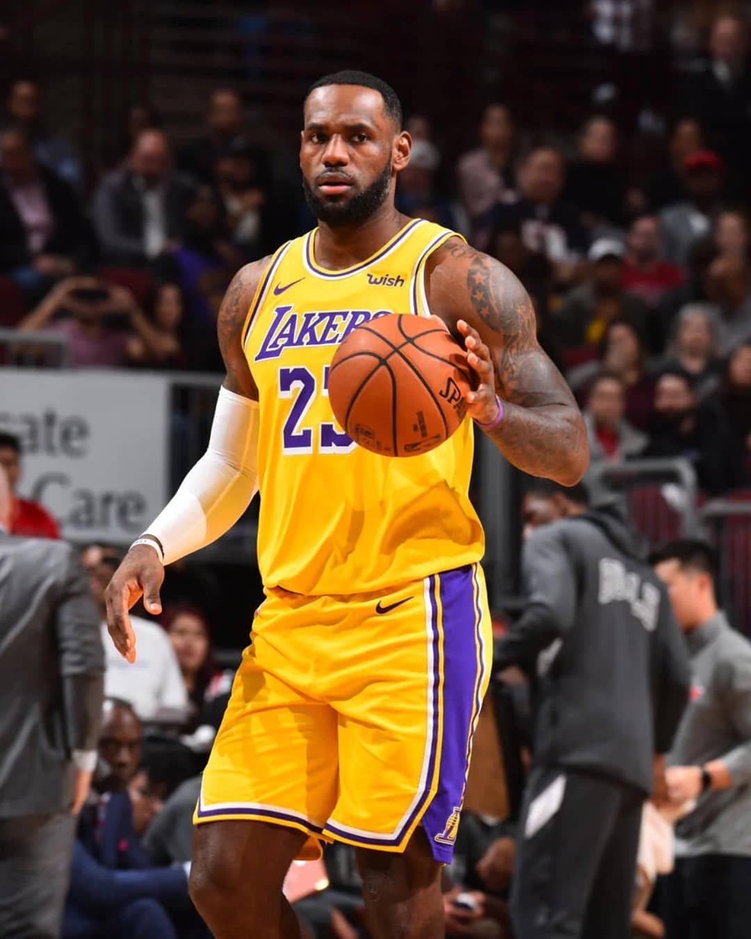 搜索热词如 搜索热词如