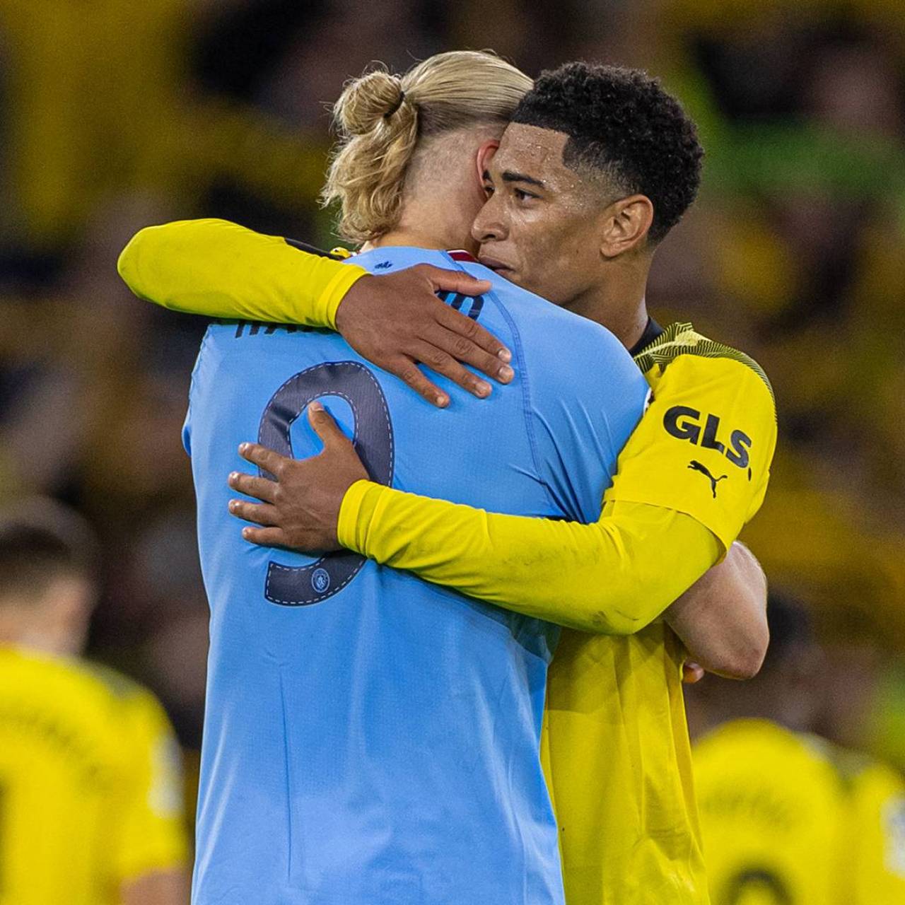 语汇替代品 语汇替代品