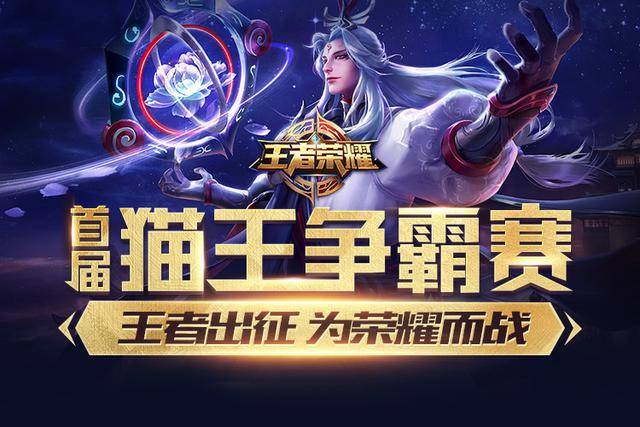 不是巨星不